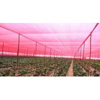 85% Red Shade Cloth